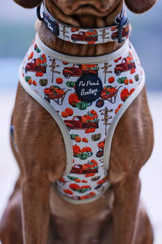 Pumpkin Patch Cart Dog Harness, 5 of 11