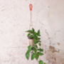 Terrazzo Hanging Plant Pot, thumbnail 2 of 5