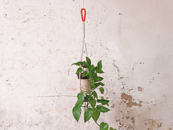 Terrazzo Hanging Plant Pot, 2 of 5
