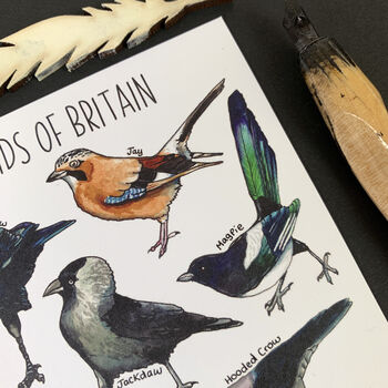 Corvids Of Britain Watercolour Postcard, 6 of 8