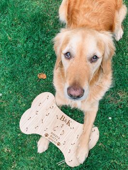 Personalised Dog Advent Calendar Christmas, 7 of 7