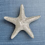 Large Starfish Solid Pewter Cabinet Handle, Door Knobs, thumbnail 3 of 9