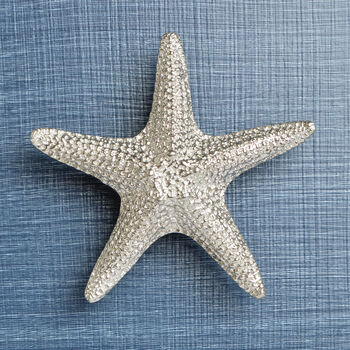 Large Starfish Solid Pewter Cabinet Handle, Door Knobs, 3 of 9