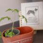 Terracotta Herb Garden Planter, thumbnail 4 of 5