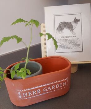Terracotta Herb Garden Planter, 4 of 5