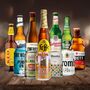 World Craft Beer Mixed Case Of Pale Ale, Ipa And Lager Twelve Beers, thumbnail 1 of 6