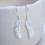 Sterling Silver Feather Drop Earrings, thumbnail 6 of 8