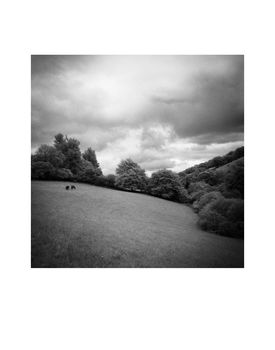 Woodland, Tarr Steps, Exmoor, Art Print, 5 of 7