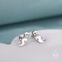 Sterling Silver Otter Hugging Shell Stud Earrings, thumbnail 1 of 12