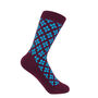 Clover Women's Socks Bundle, thumbnail 7 of 8