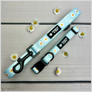Floral Daisy And Polka Dot Dog Collar And Lead, 5 of 5