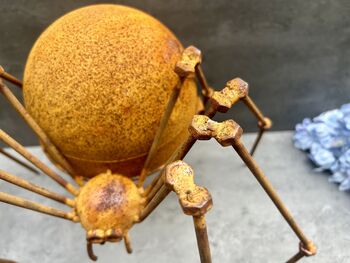 Huge Spider Garden Ornament 35cm Distressed Rusty Metal, 2 of 12