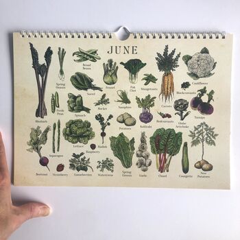 UK Seasonal Calendar, Dateless Fruit And Veg Calendar, 3 of 8