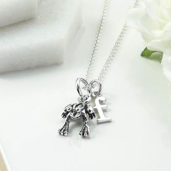 Sterling Silver Frog Necklace, 3 of 4