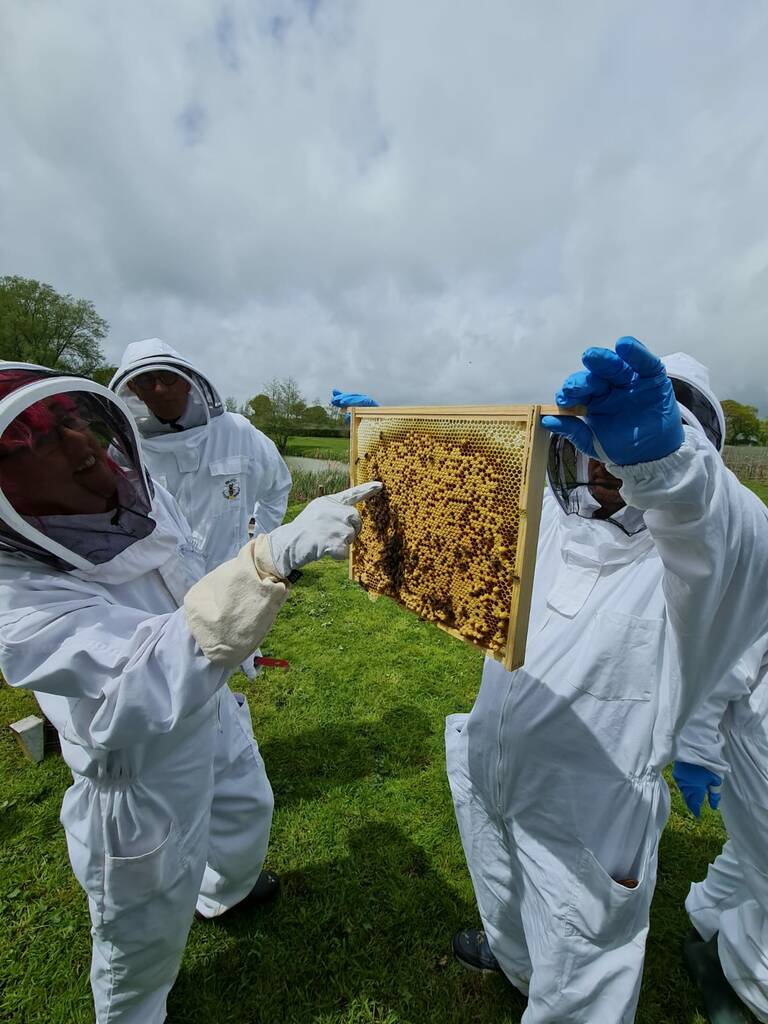 Rural Beekeeping And Craft Beer Experience 2022, 1 of 8