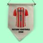 Personaslied Football And Rugby Shirt Customisable Pennant Flag, thumbnail 9 of 10