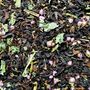 Keep The Heid Loose Leaf Black Tea With Keep Tin, thumbnail 2 of 2