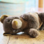Plush Brown Teddy Bear Soft Toy, thumbnail 5 of 5