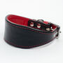 Colour Contrast Leather Whippet Collar, thumbnail 1 of 11