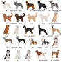 Peronalised Dog Breed Fridge Magnet, thumbnail 5 of 12