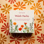 Grow Your Own Welsh Herbs Seed Kit, thumbnail 1 of 10