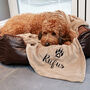 Personalised Luxury Snuggle Dog Blanket, thumbnail 1 of 12