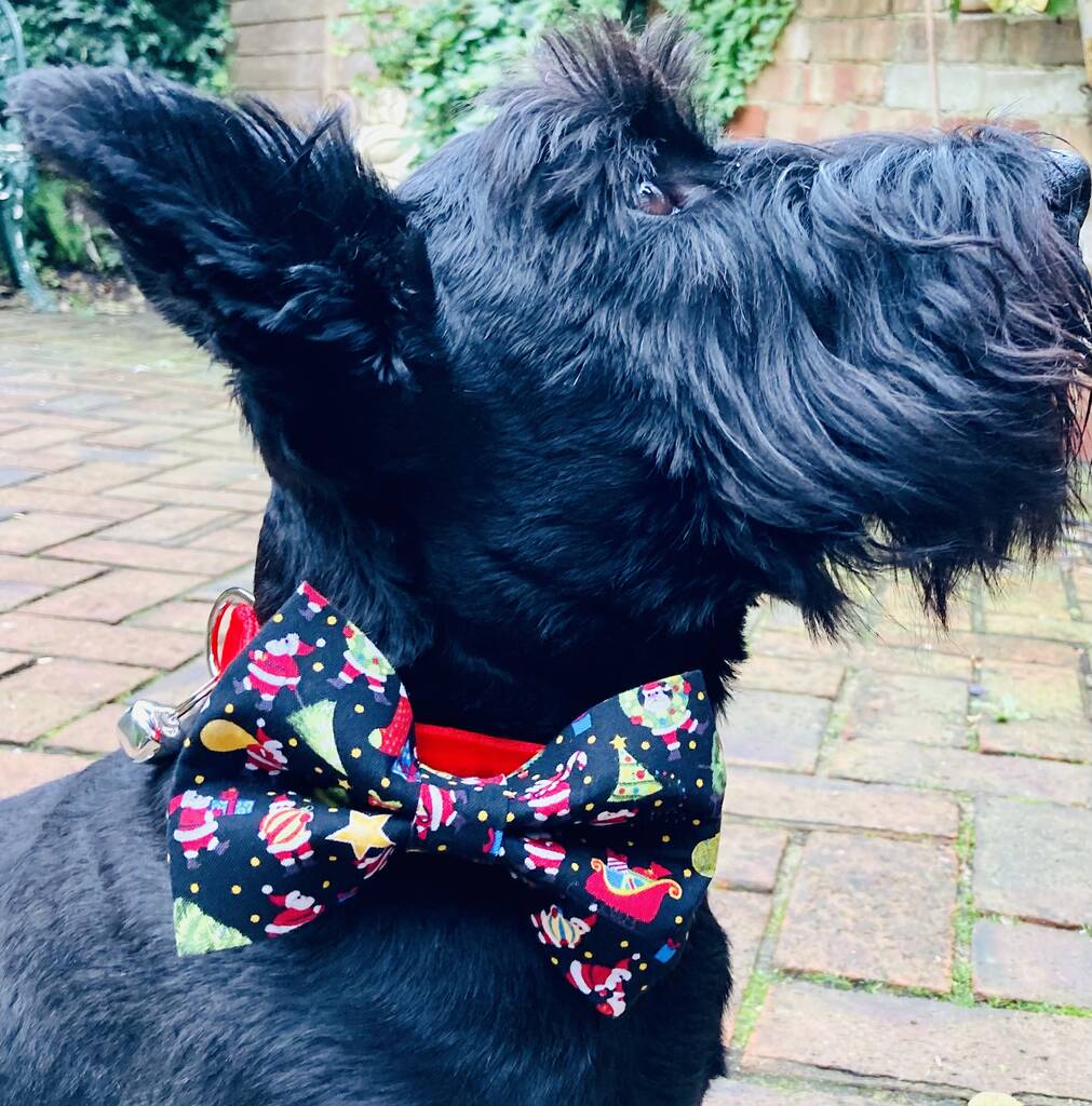 dog christmas bow