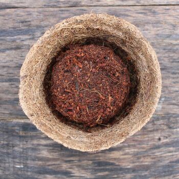 Grow Your Own Wild Bergamot Herbal Tea, 2 of 6