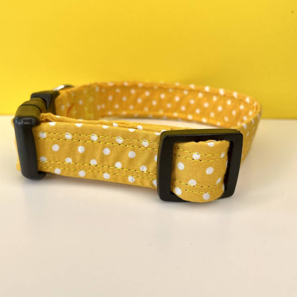 Yellow Dog Collar For Girl Or Boy Dogs By Charlie and Boo ...