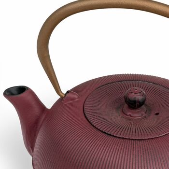 Cast Iron Teapot Sichuan 1000ml With Steel Filter, 10 of 11