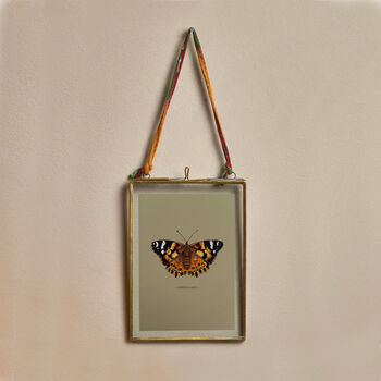 Vintage Feel Butterfly Art Print, 4 of 10