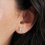 Blue Opal Dinosaur Stud Earrings, thumbnail 2 of 9