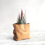 Personalised Mini Leather Paper Bag Planter With Custom Message And Artificial Aloe Vera, thumbnail 7 of 7