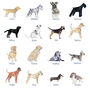 Personalised Dog Breed Keepsake Card, thumbnail 2 of 4