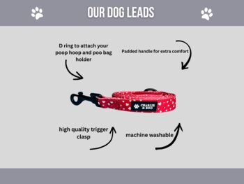 Red Heart Dog Collar And Lead, 2 of 6