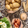 Set Of Two Khaki Garden Storage Bags, thumbnail 6 of 6