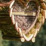 Personalised Wooden Heart Hanging Insect House, thumbnail 5 of 8