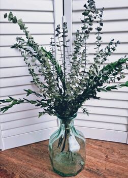 Preserved Eucalyptus Bouquet, 2 of 3