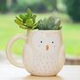Owl Mug Planter With Choices Of Plants, thumbnail 1 of 3