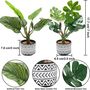 Pack Of Two Artificial Plants In Ceramic Pot, thumbnail 8 of 8