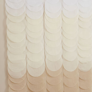 Neutral Ombre Tissue Paper Disc Party Backdrop, 3 of 3