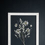 Golden Hour Botanical Wall Art – A3 Pressed Flowers In Sand Frame, thumbnail 2 of 7