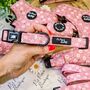 Dusky Pink Daisies Floral Dog Collar, thumbnail 1 of 8