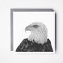 Arrakis The Eagle Luxury Blank Greeting Card, thumbnail 1 of 2