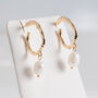 Hoop Pearl Earrings Gold Plated, thumbnail 3 of 4