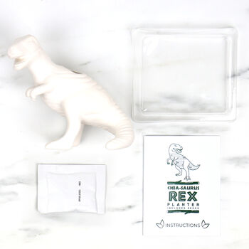 Chia Saurus Rex Dinosaur Chia Planter, 4 of 4