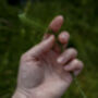 Foraging Experience For Two Voucher, thumbnail 4 of 6