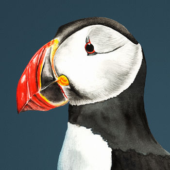 Pair Of Puffin Prints, 2 of 4