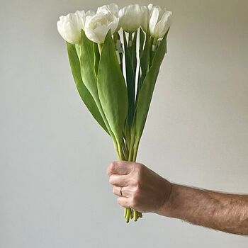 Artificial White Tulip Stem, 6 of 6
