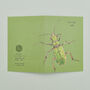 Pack Of Eight Greeting Cards Of British Insects, thumbnail 5 of 10